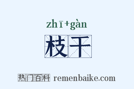 枝干是什么意思的图片